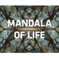 Mandala of Life: Die psychedelische Fotokunst von Harry Kane