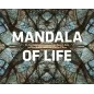 Mandala of Life: The Psychedelic Photo Art of Harry Kane