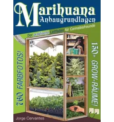 Marijuana Growing Basics