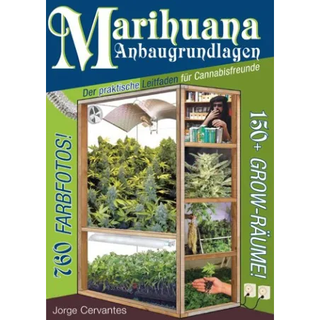 Marihuana Anbaugrundlagen