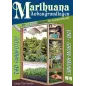 Marijuana Growing Basics