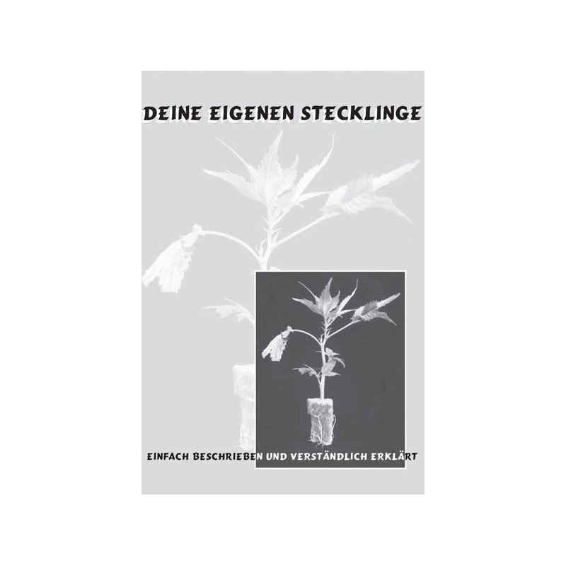 Deine eigenen Stecklinge