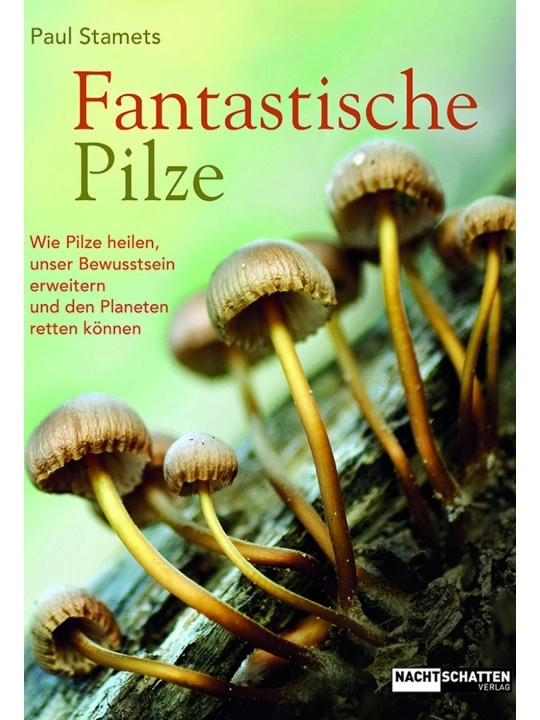 Fantastic mushrooms