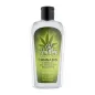 Cannabis Sliding Gel - 100 ml