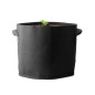 Caluma Set - 3 Plants Plus 100x100x200cm - 320W