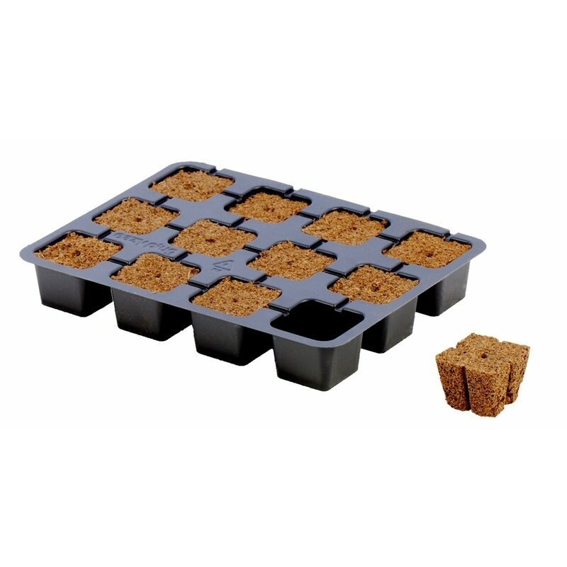 Eazy Plug cuttings tray 12 pcs.