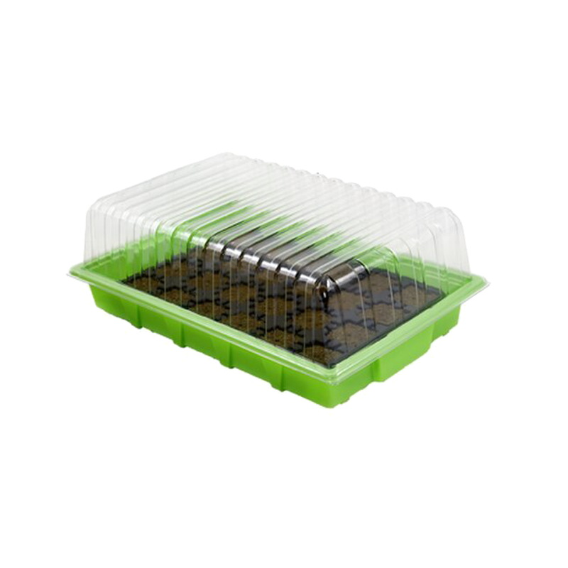 Eazy Plug cuttings and greenhouse set 24 pcs.