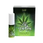 Cannabis Pleasure Oil - 6 ml