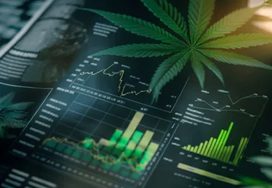 Cannabis industry: jobs, finances and economic growth